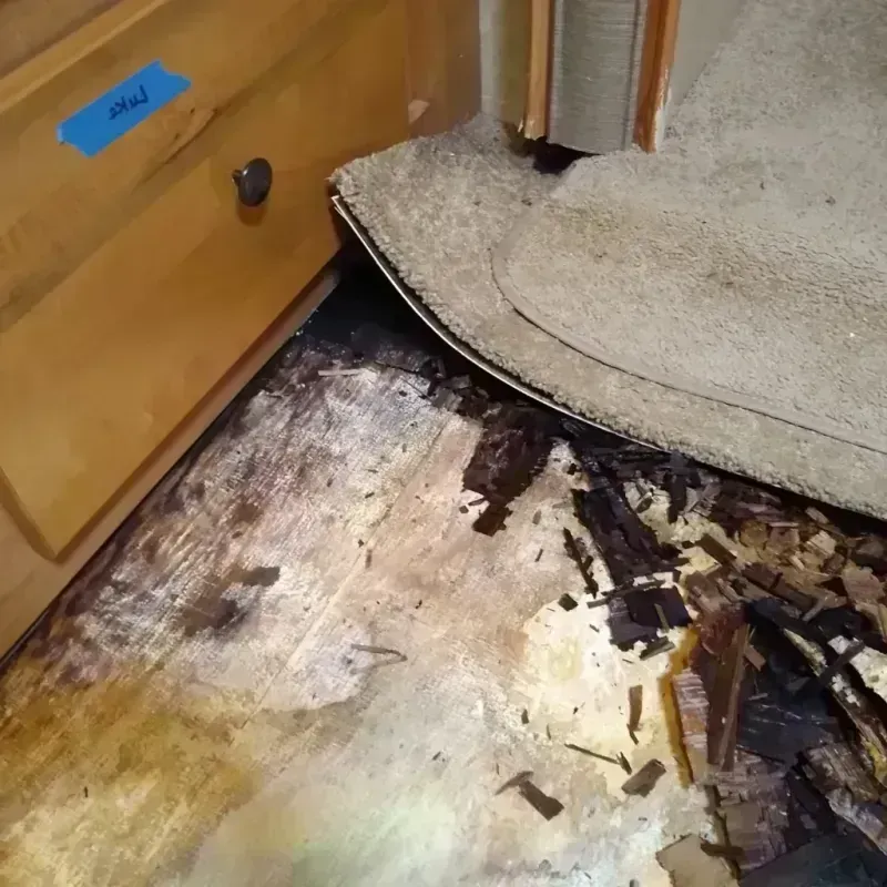 Wood Floor Water Damage in Pullman, WA